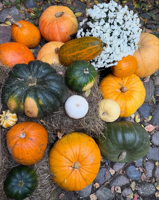 Pumpkin Boo-tique