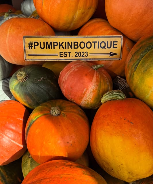 Pumpkin event